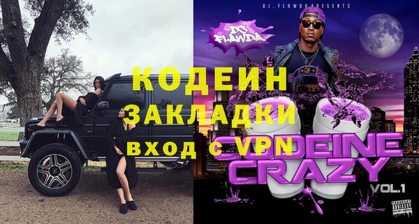 хмурый Михайловск