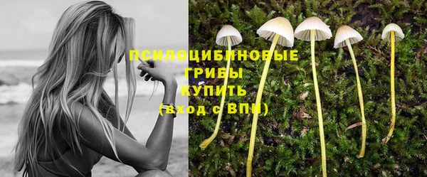мдпв Надым