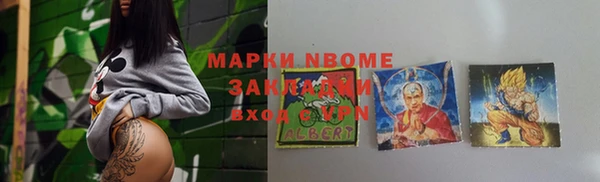 хмурый Михайловск