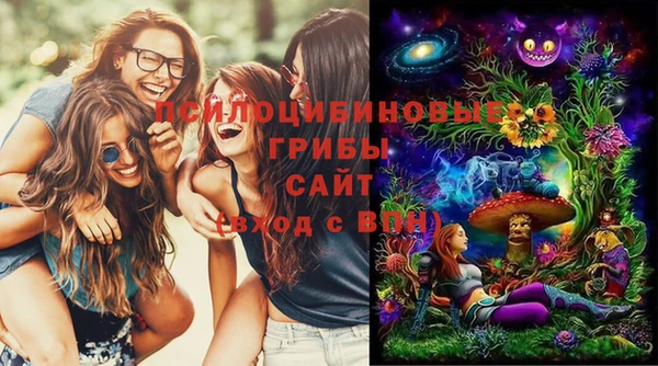 мдпв Михайловка
