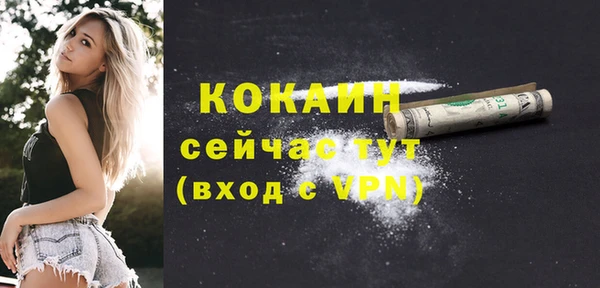 прущие грибы Навашино