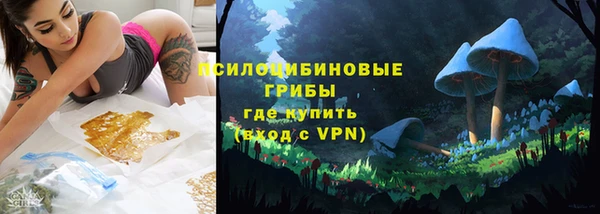 прущие грибы Навашино