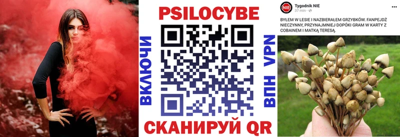 хочу наркоту  Нюрба  MEGA зеркало  Псилоцибиновые грибы прущие грибы 